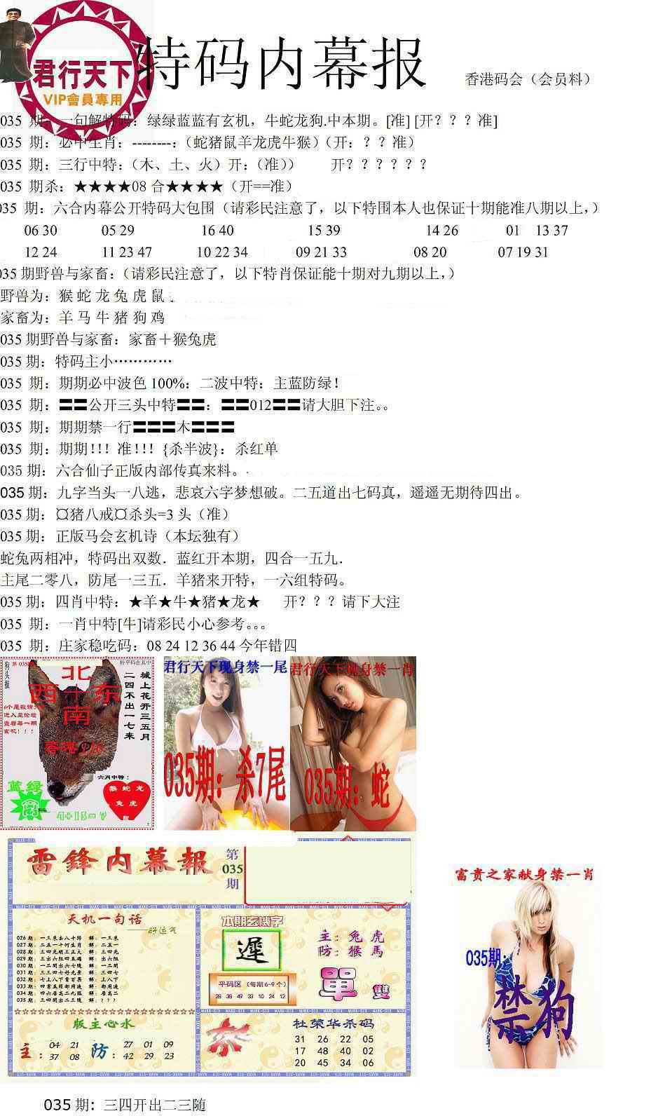 035期特码内幕报[图]