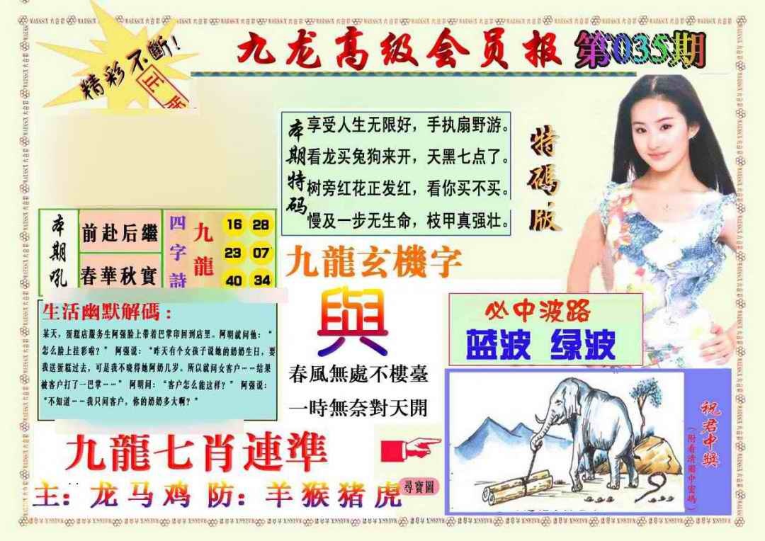 035期九龙高级会员报[图]